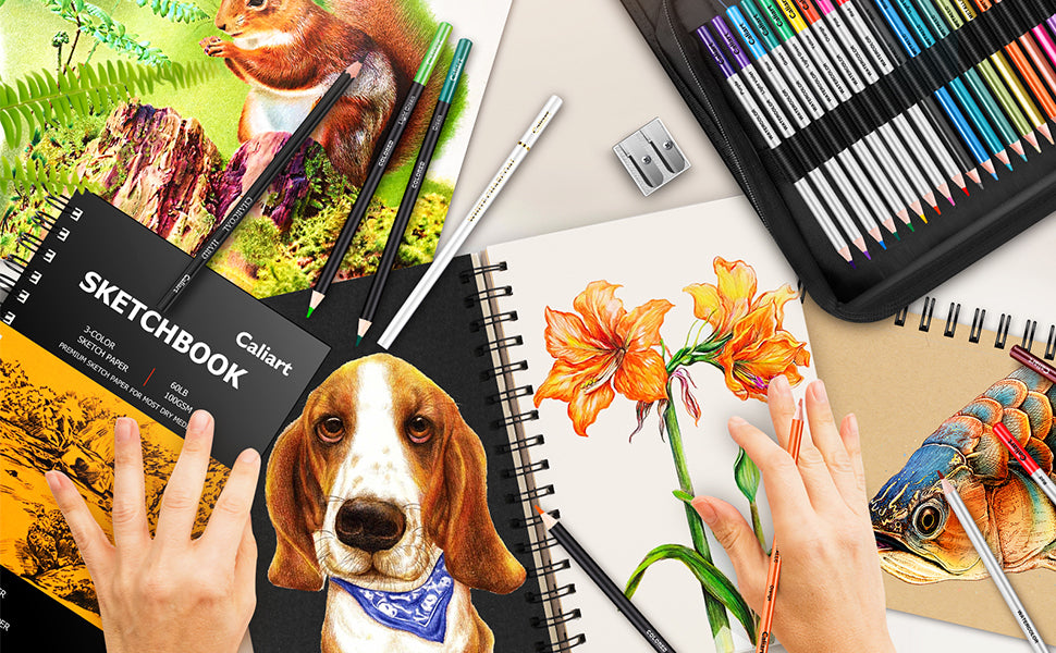 Caliart art drawing set for coloring books
