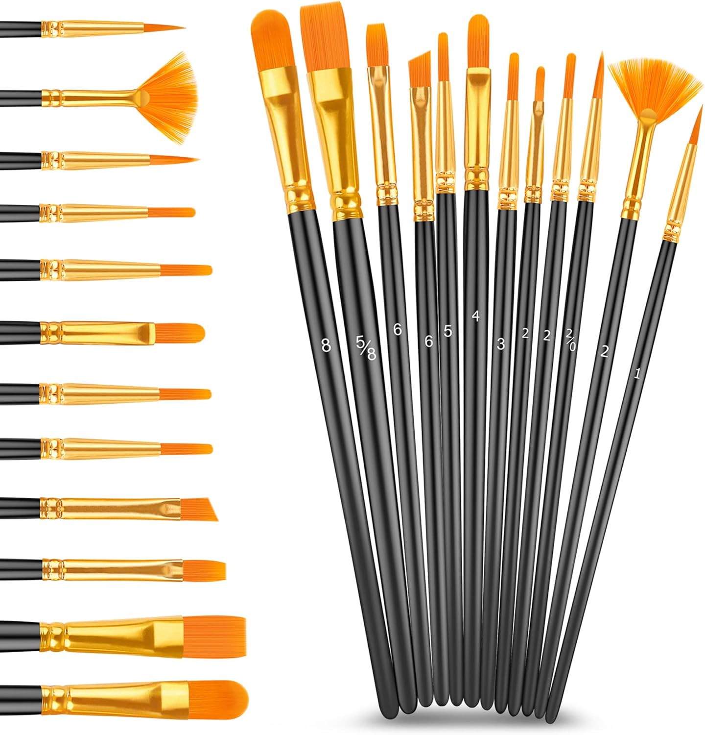Caliart Acrylic Paint Set with 12 Brushes, 24 Colors Wood Craft Paints for Adult Artist Beginner Painter, Rich Pigments, Halloween Pumpkin Canvas Ceramic Rock Painting Art Kit Supplies