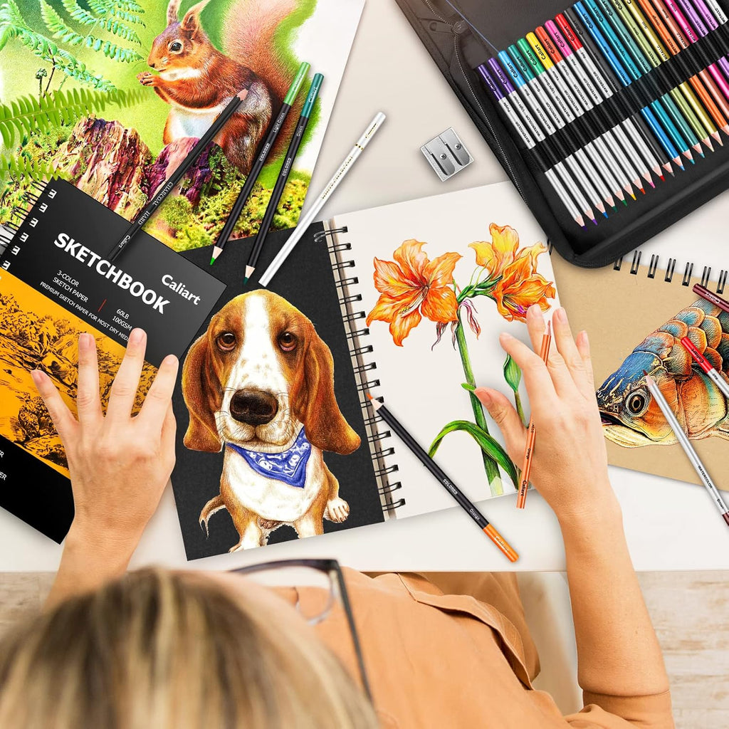 Caliart 176PCS Art Supplies Sketching Kit with 100 Sheets 3-Color Sketch Book, Graphite Colored Charcoal Watercolor & Metallic Pencils, Drawing Set Gifts for Adults Teens Girls Boys Kids